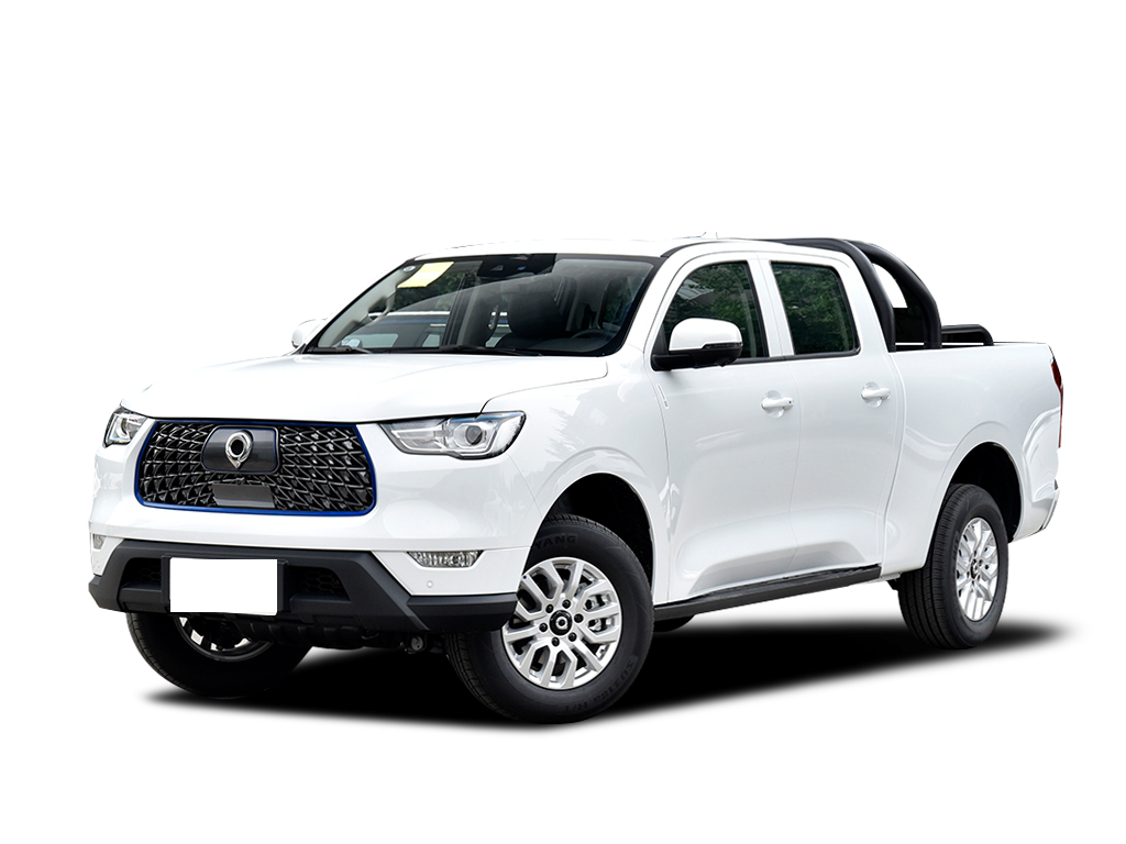 GWM PAO EV