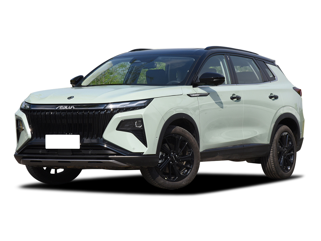 Dongfeng Aeolus Haoji
