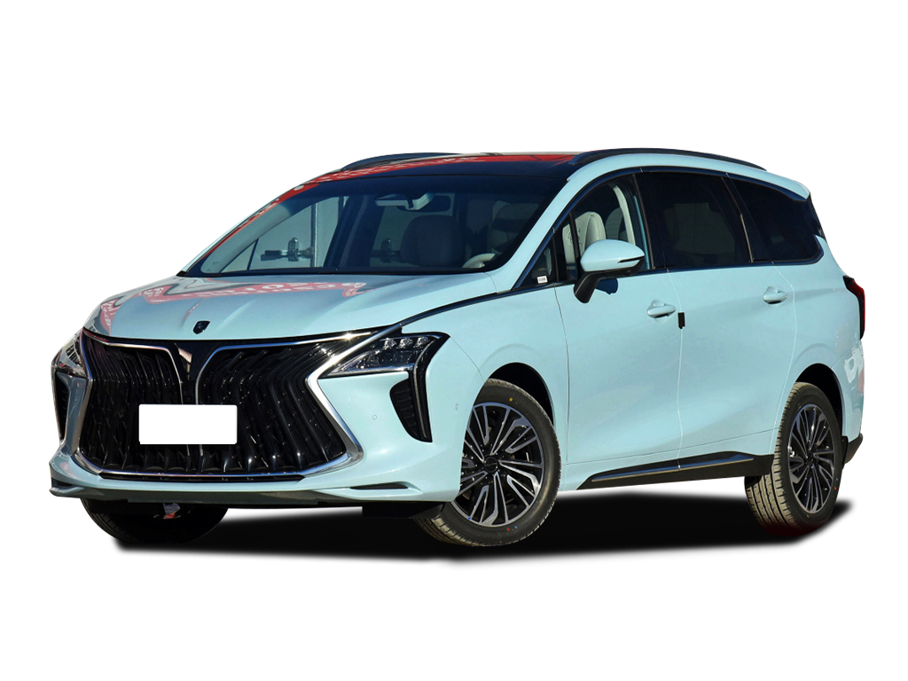 Dongfeng Forthing Yacht