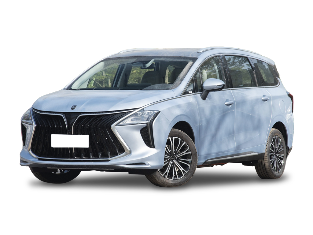 Dongfeng Forthing Yacht NEV
