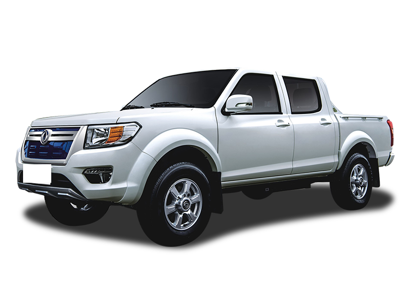 Dongfeng Ruiqi