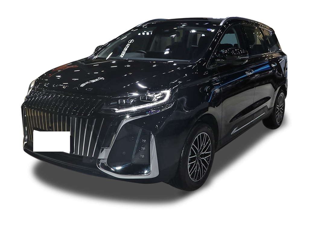 Dayun Yuanzhi M2