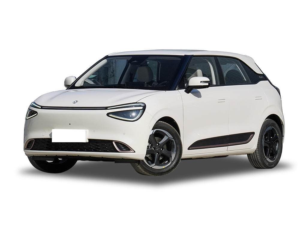 Dongfeng Nammi 1