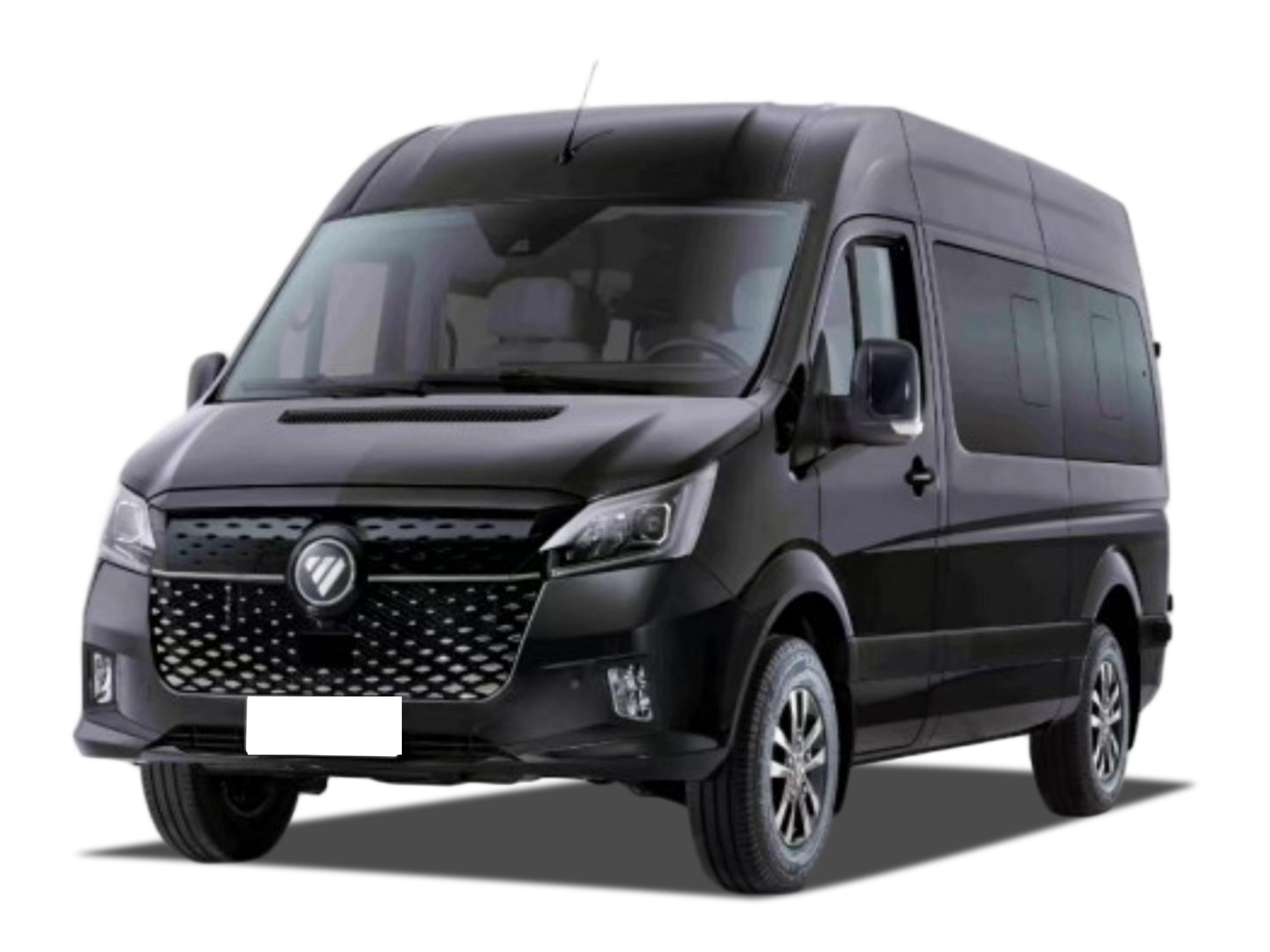 Foton Toano X8 NEV