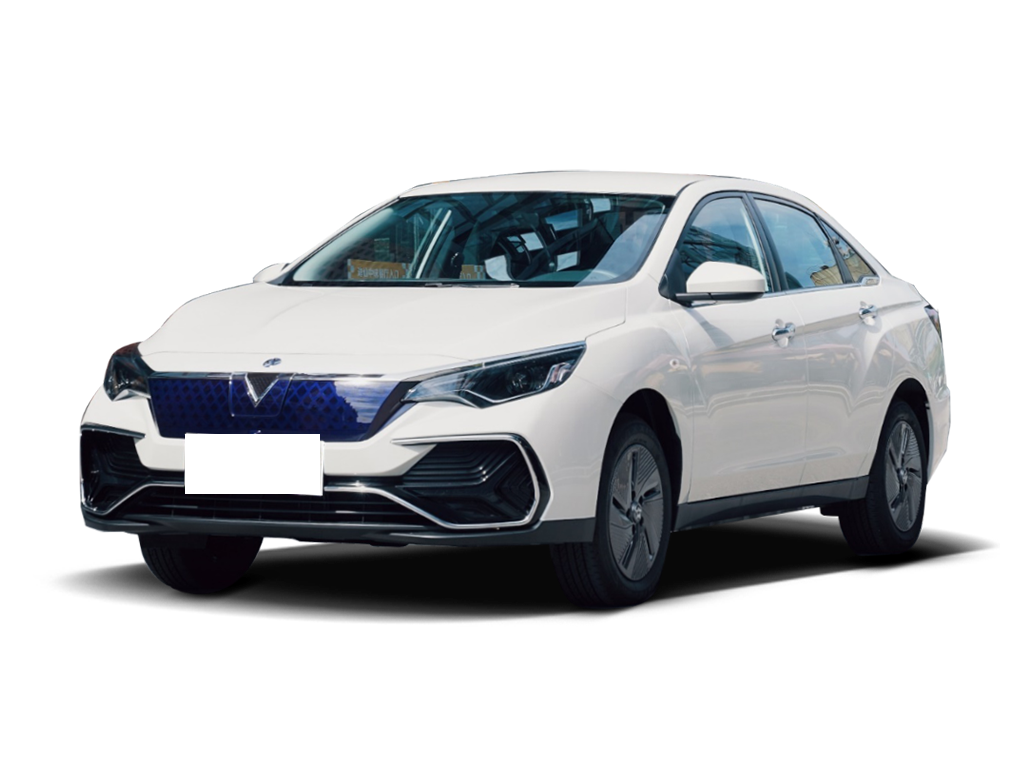 Venucia D60EV