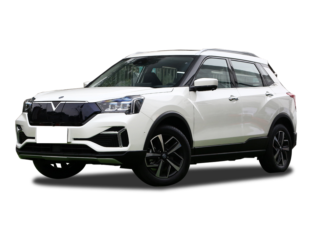 Venucia T60EV