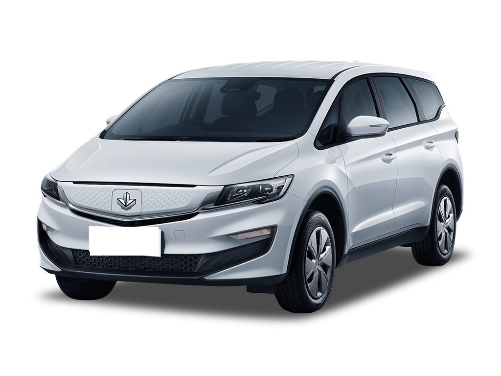 Livan Maple 80v L