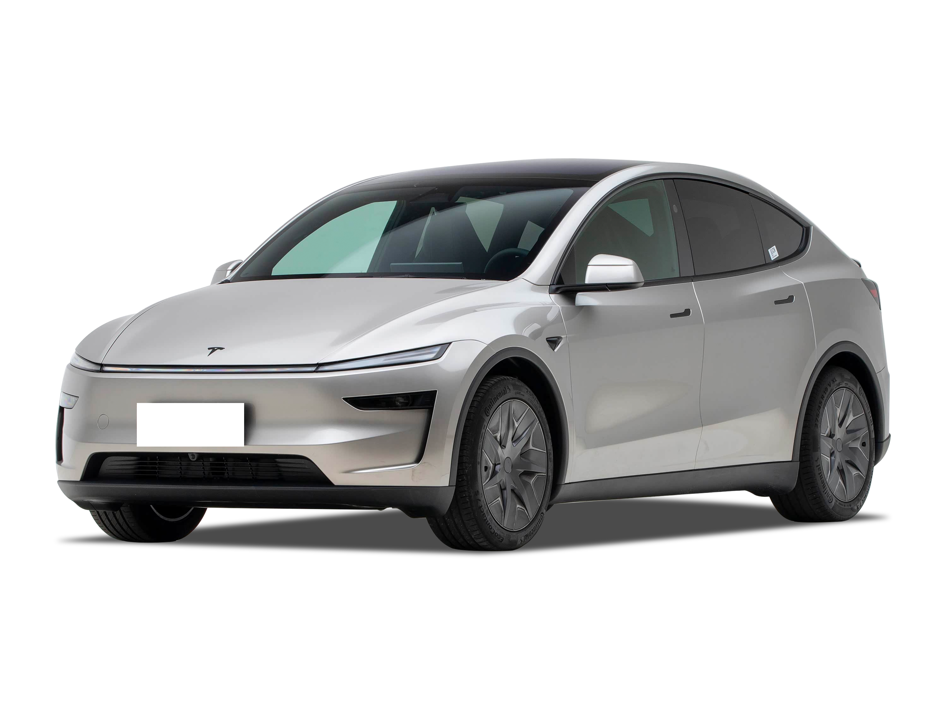 Model Y L