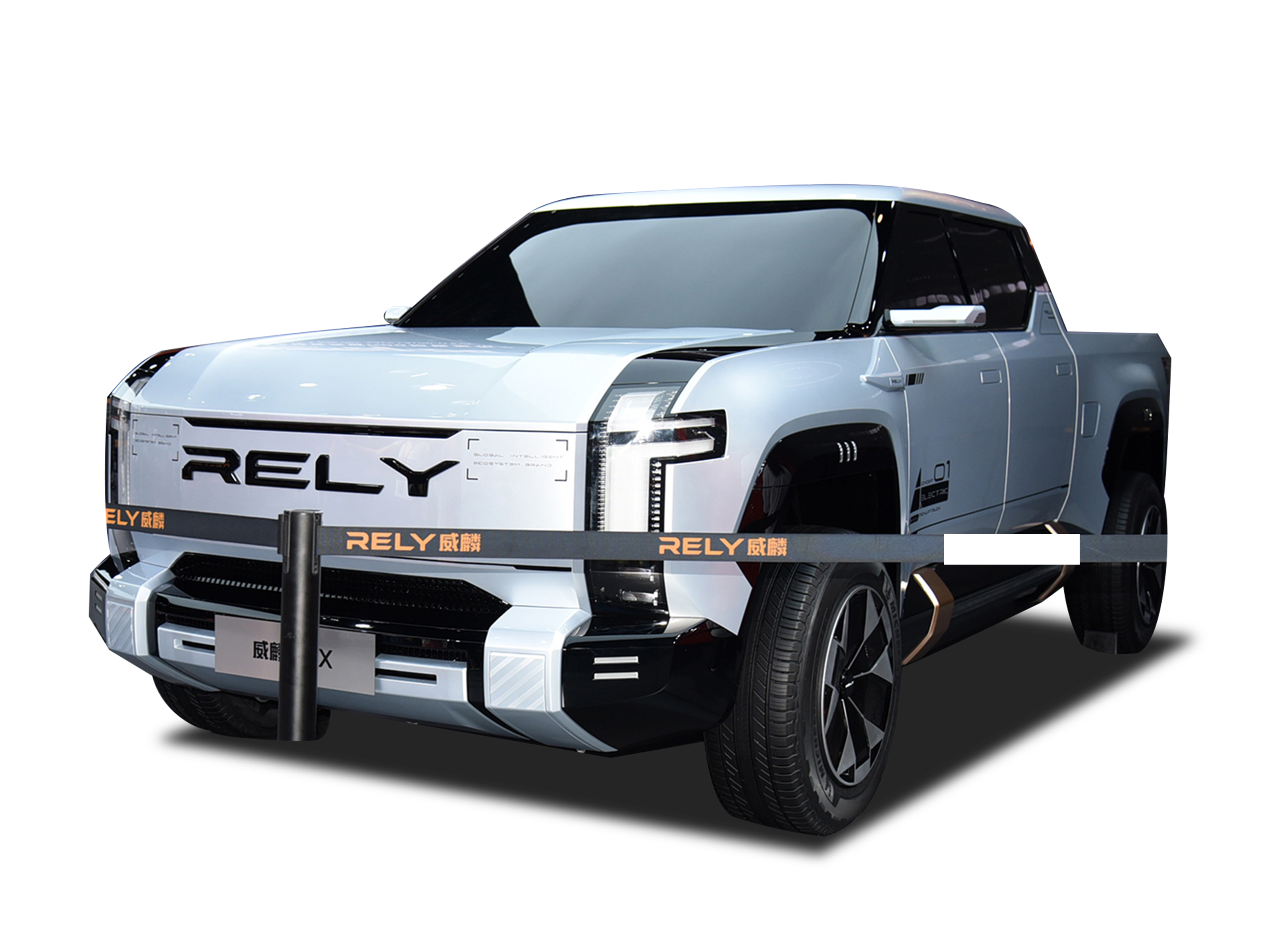 RELY P2X