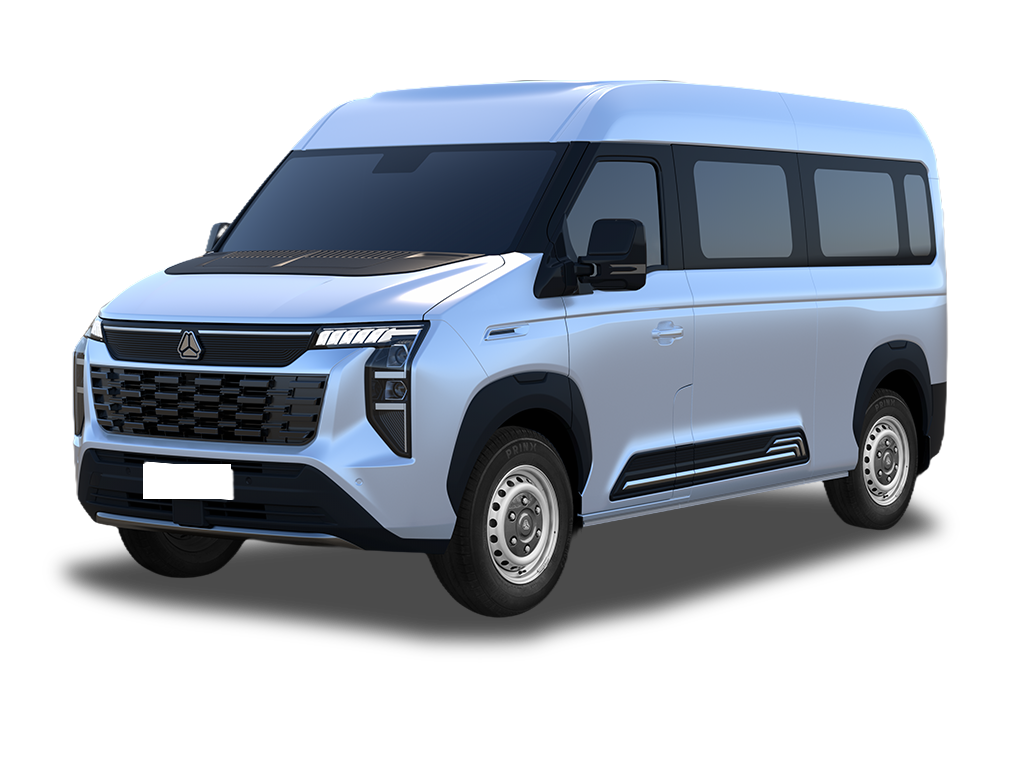 Pioneer V