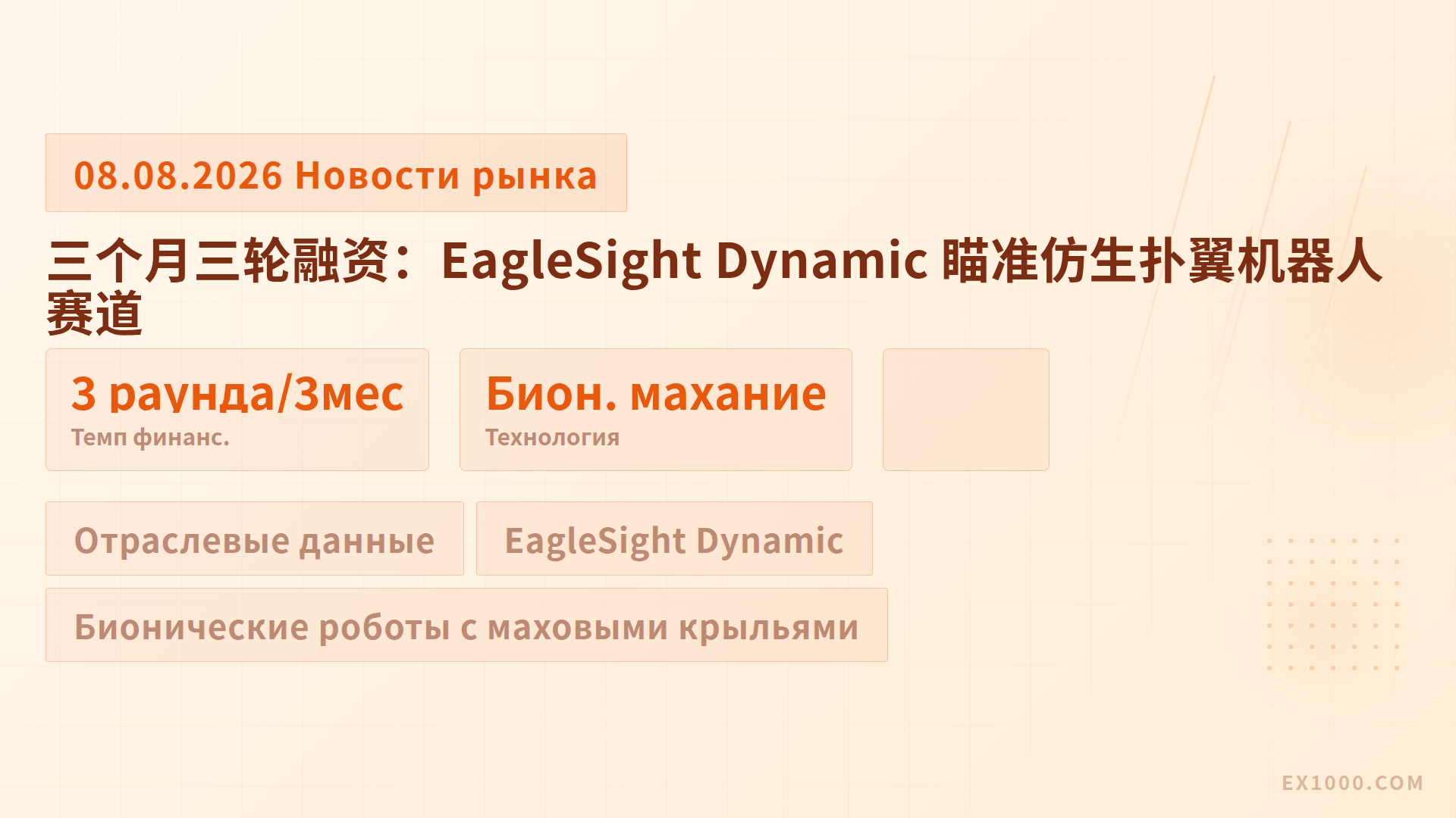 Три раунда финансирования за три месяца: EagleSight Dynamic нацелилась на бионических роботов с маховыми крыльями